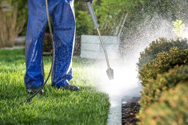 Curb Cleaning in Springfield