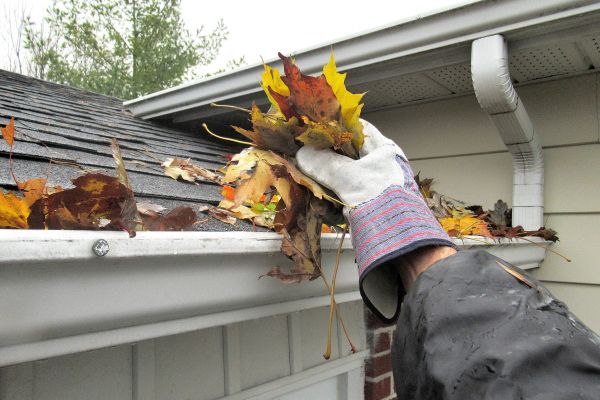 Eaves Cleaning in Springfield