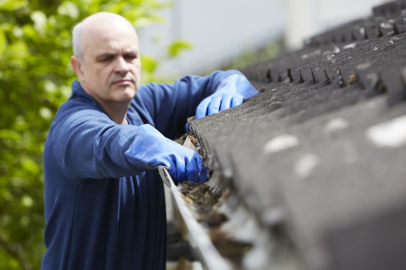 Roof and Gutter Cleaning